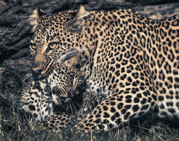 BK8I1103 - GALLERY.jpg